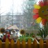 Весенний огород на подоконнике  - Центр по уходу за детьми Елены Телегиной
